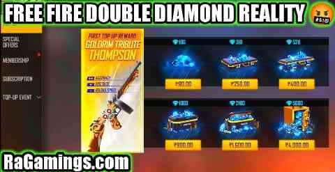 Double Diamond Website